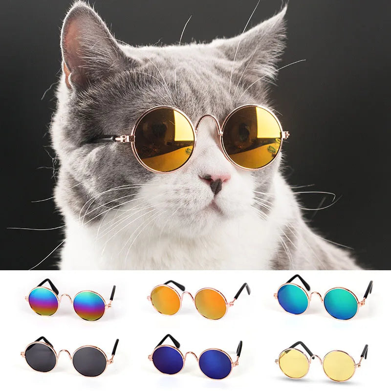 1pc  Cat Glasses Small Dog Glasses Pet Products for Little Dog Cat Eye-Wear Dog Sunglasses