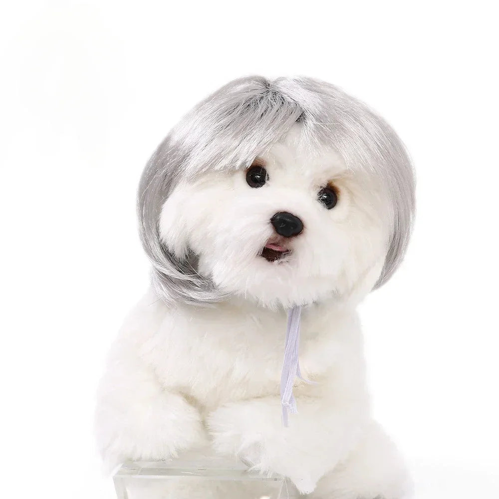 Pet Wig for Cats and Dogs