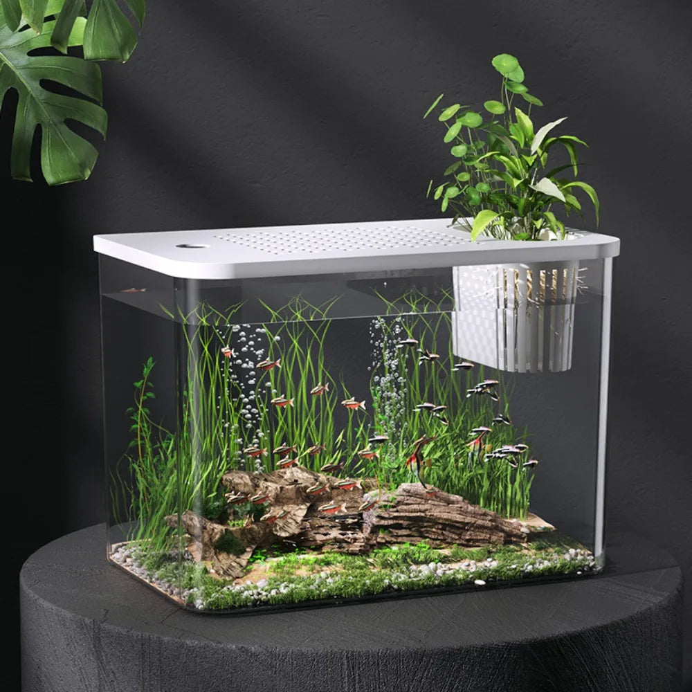 PET+ABS Fish Tank New Transparent with Lid Aquarium Drop Resistant Hydroponic Tank