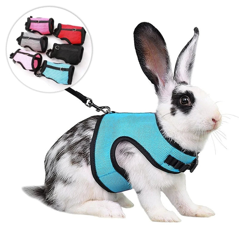 Mutil-Colors Breathable Stylish Vest Rabbit Adjustable Soft Harness And Elastic Leash Set For Rabbits