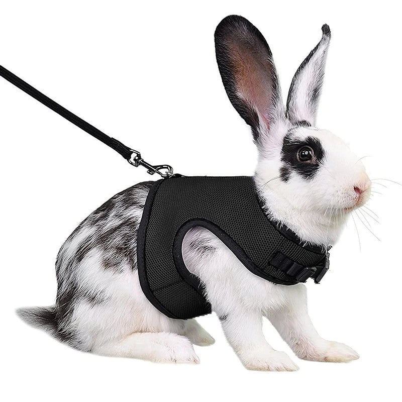 Mutil-Colors Breathable Stylish Vest Rabbit Adjustable Soft Harness And Elastic Leash Set For Rabbits