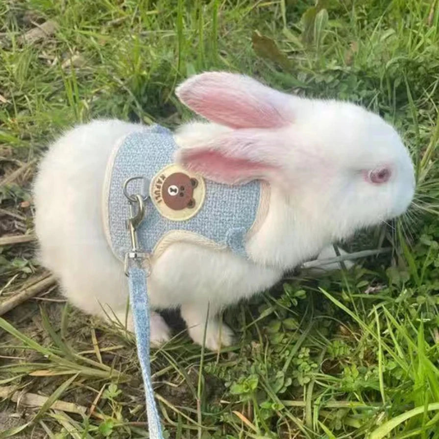 Rabbit Harness and Leash Set Vest Harnesses Rabbit Leashes for Outdoor Walking