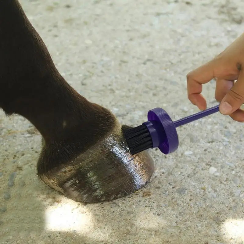 Hoof Oil Brush Horse Hoof Cleaning Oil Brush With Bottle Horse Hoof Health Care Oil Bottle For Horse Breeding Parks Zoos Horse