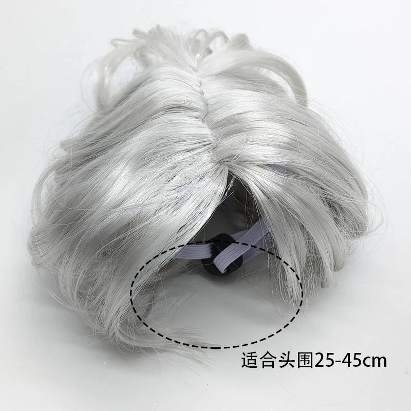 Pet Wigs Cosplay