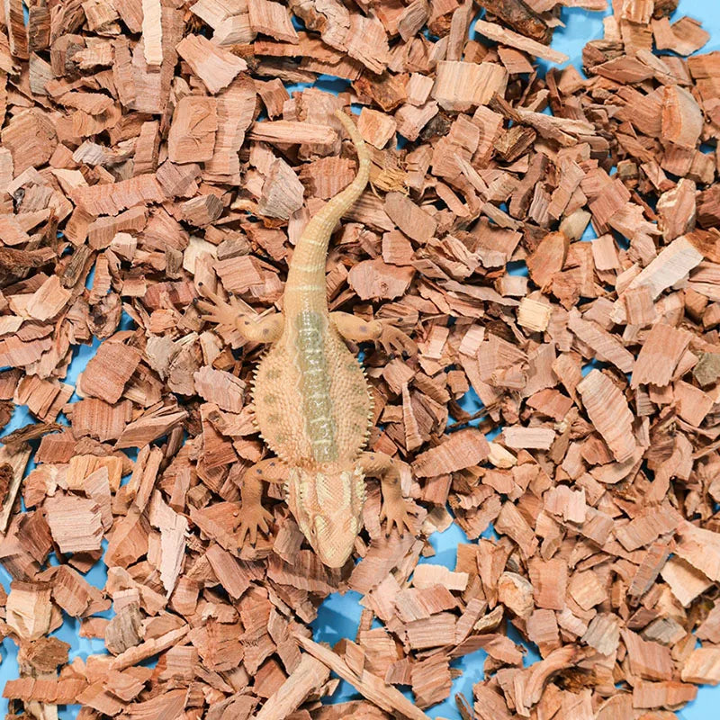 Reptile Substrate Apple Tree Wood Chips Natural Husk Bedding Moisturizing Deodorizing Materials for Tortoise Crawling Pets