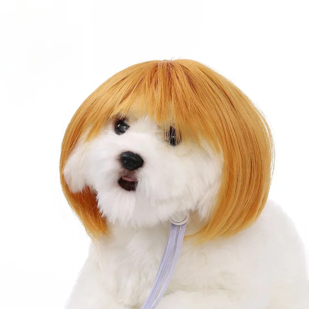 Pet Wig for Cats and Dogs