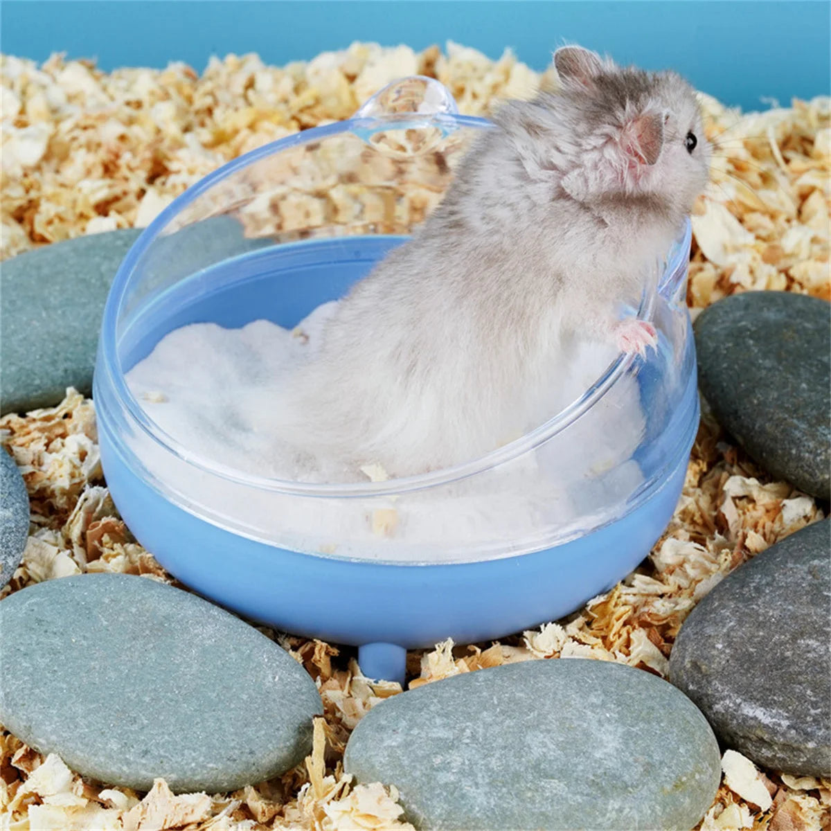 Hamster Sandbox Full Transparent Sand Bath Container Small Pet