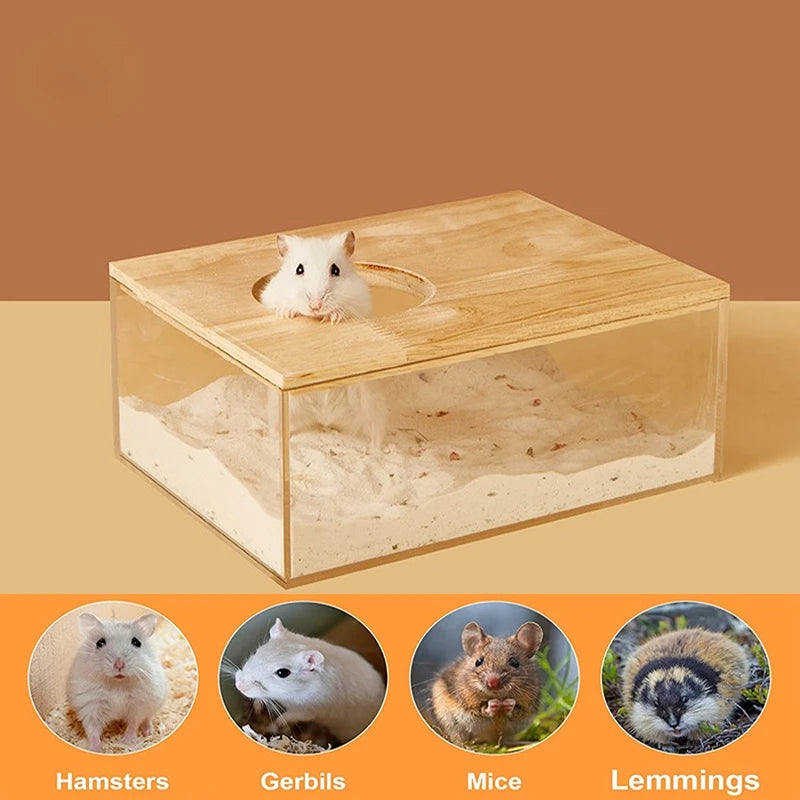 Hamster Sandbox Full Transparent Sand Bath