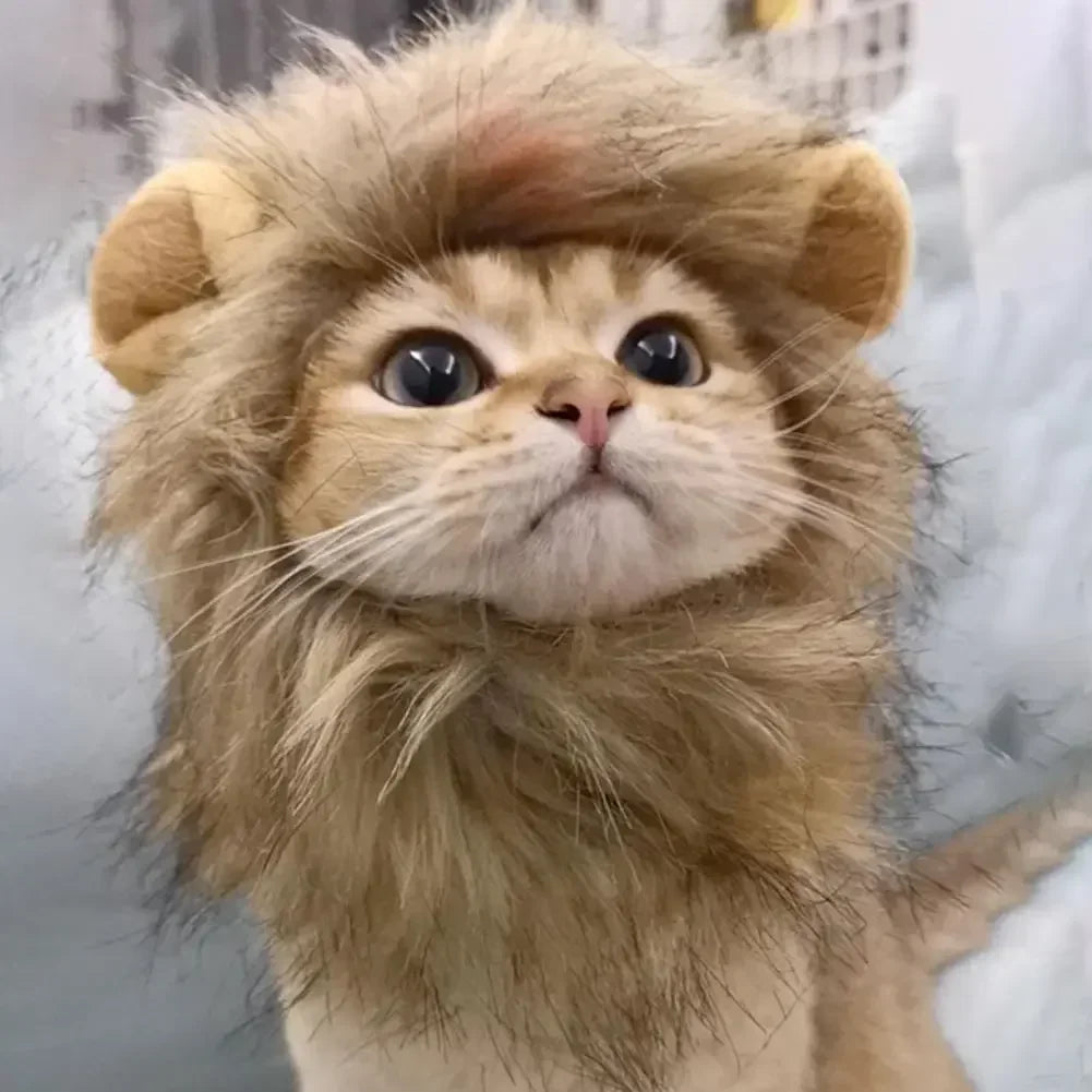 Lions mane wig for Cat Costume Cosplay