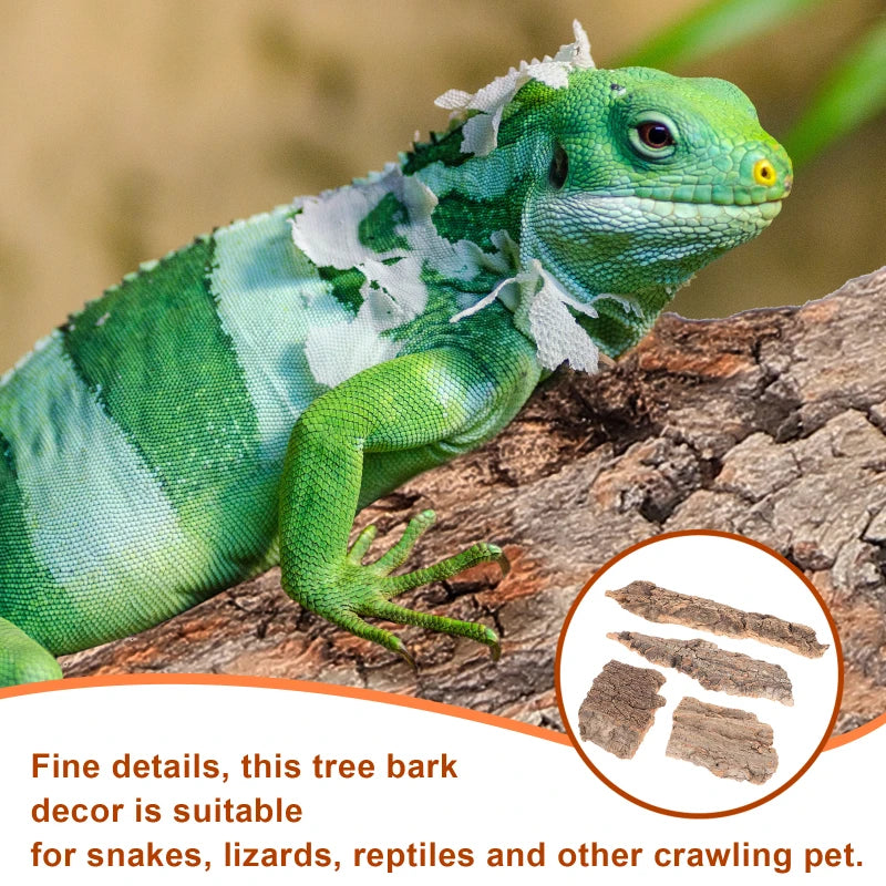 4 Pcs Reptile Bark Decoration Decorations for Terrarium Decorative Tree Accessories Cork Reptiles Hide