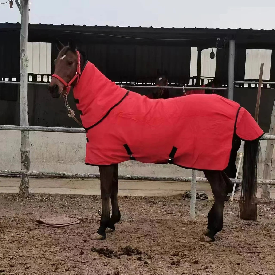 Derka Dla Konia Winter Thickened Cotton Horsecloth plus-Sized Horse Sweat and Blood Pony Horse Rug