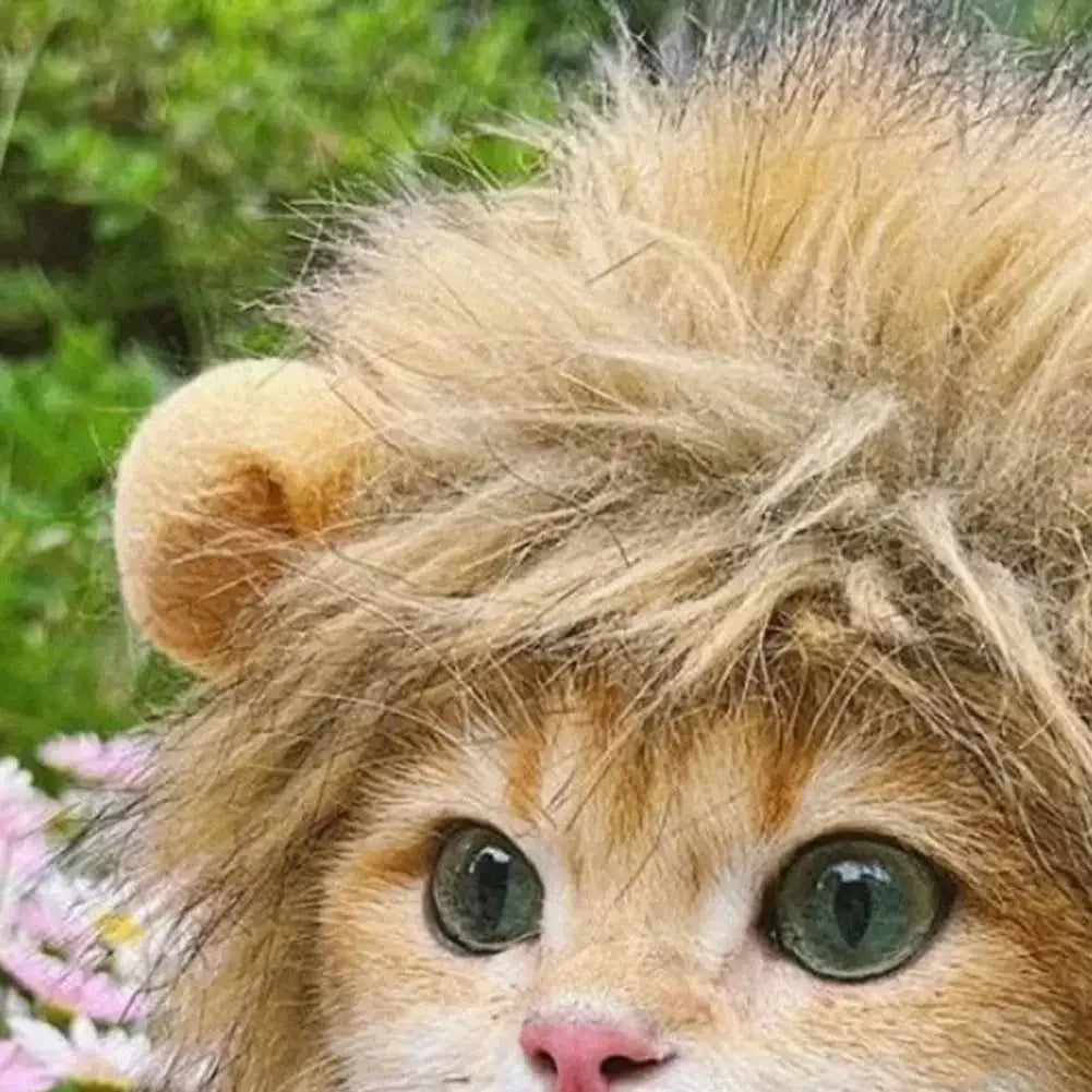 Lions mane wig for Cat Costume Cosplay