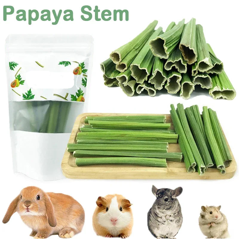 20g Hamster, Rabbit Molar Papaya Stem Hamsters Chinchillas Parrot Rat Guinea Pig Food Snacks Cleaning Teeth Treat Molar Chew