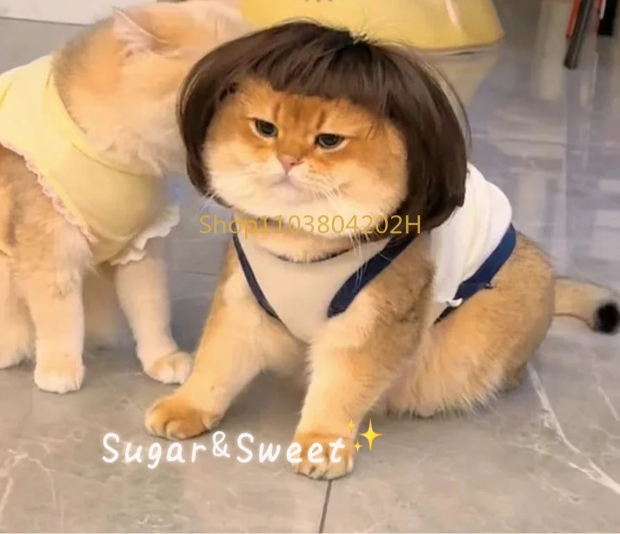 Cat Wig Funny Hair  Cosplay