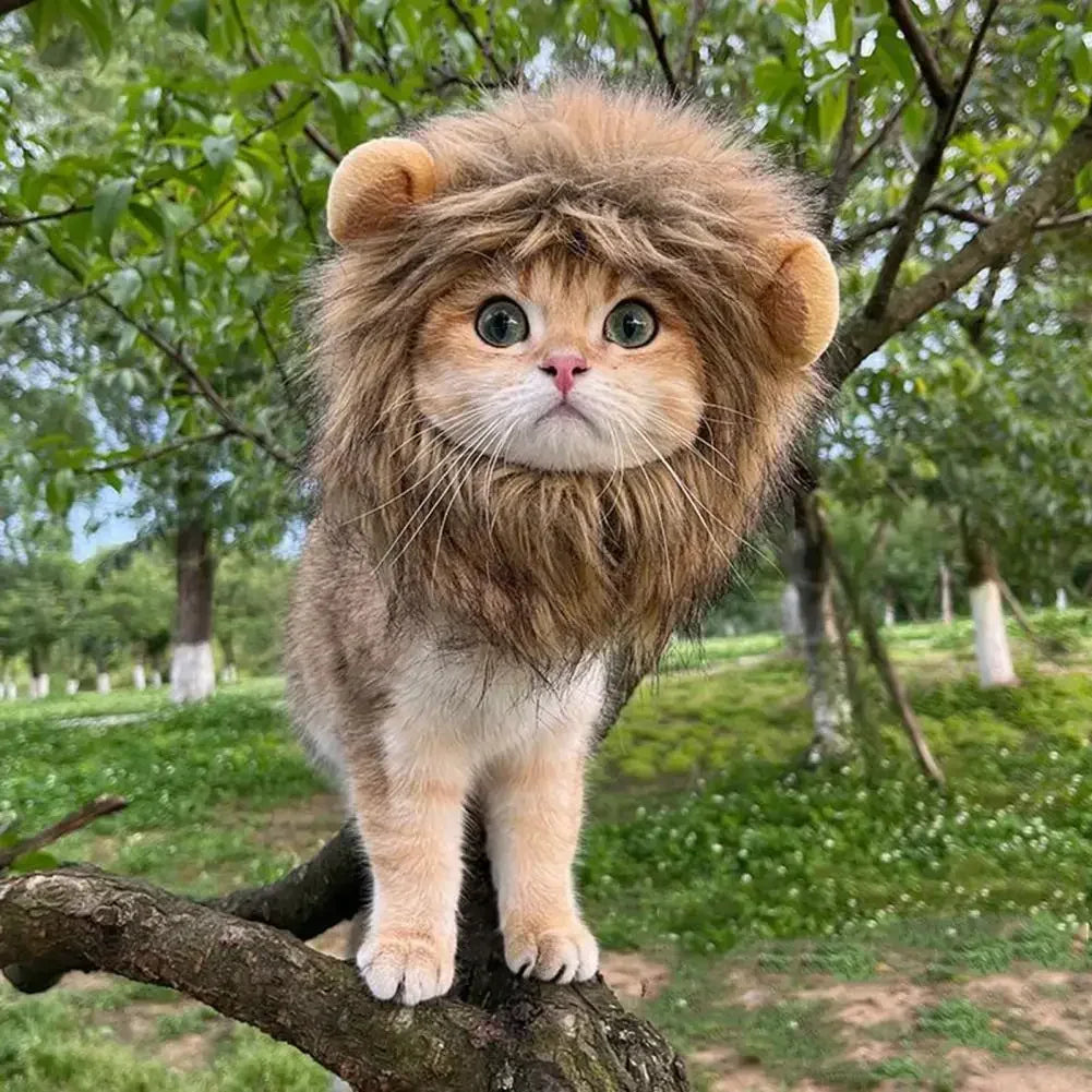 Lions mane wig for Cat Costume Cosplay