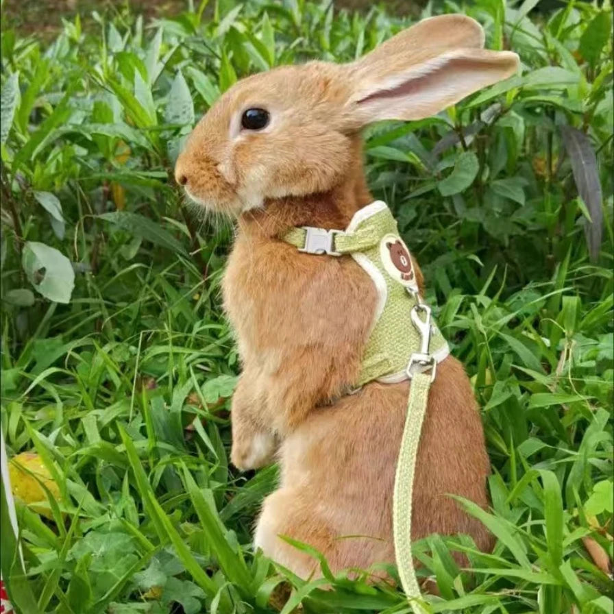 Rabbit Harness and Leash Set Vest Harnesses Rabbit Leashes for Outdoor Walking