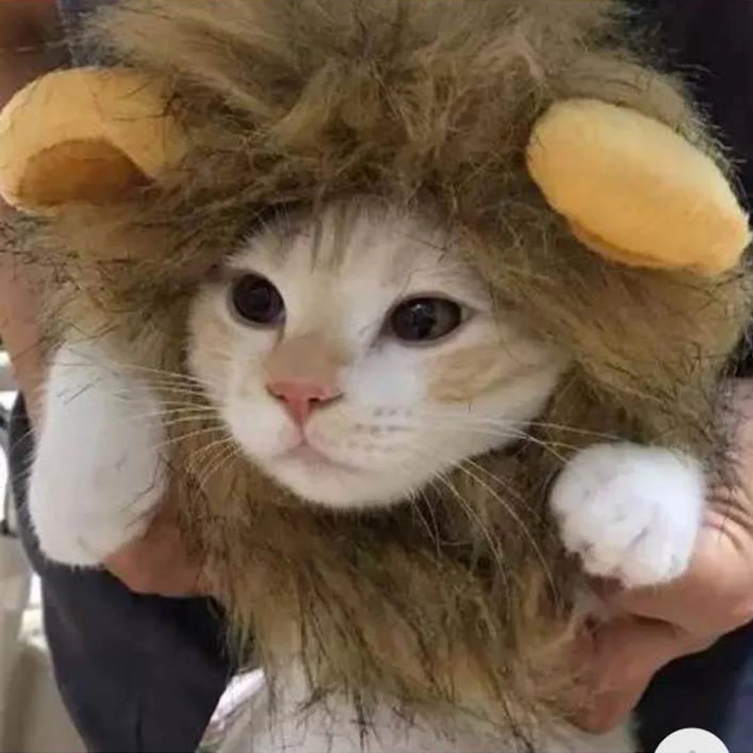 Cute Lion Mane Cat Wig Hat Lion Wig Costume Fancy Hair Cap Pet Supplies