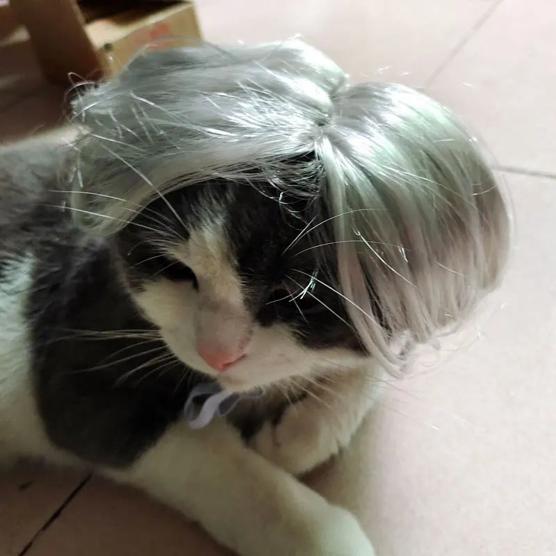 Pet Wigs Cosplay