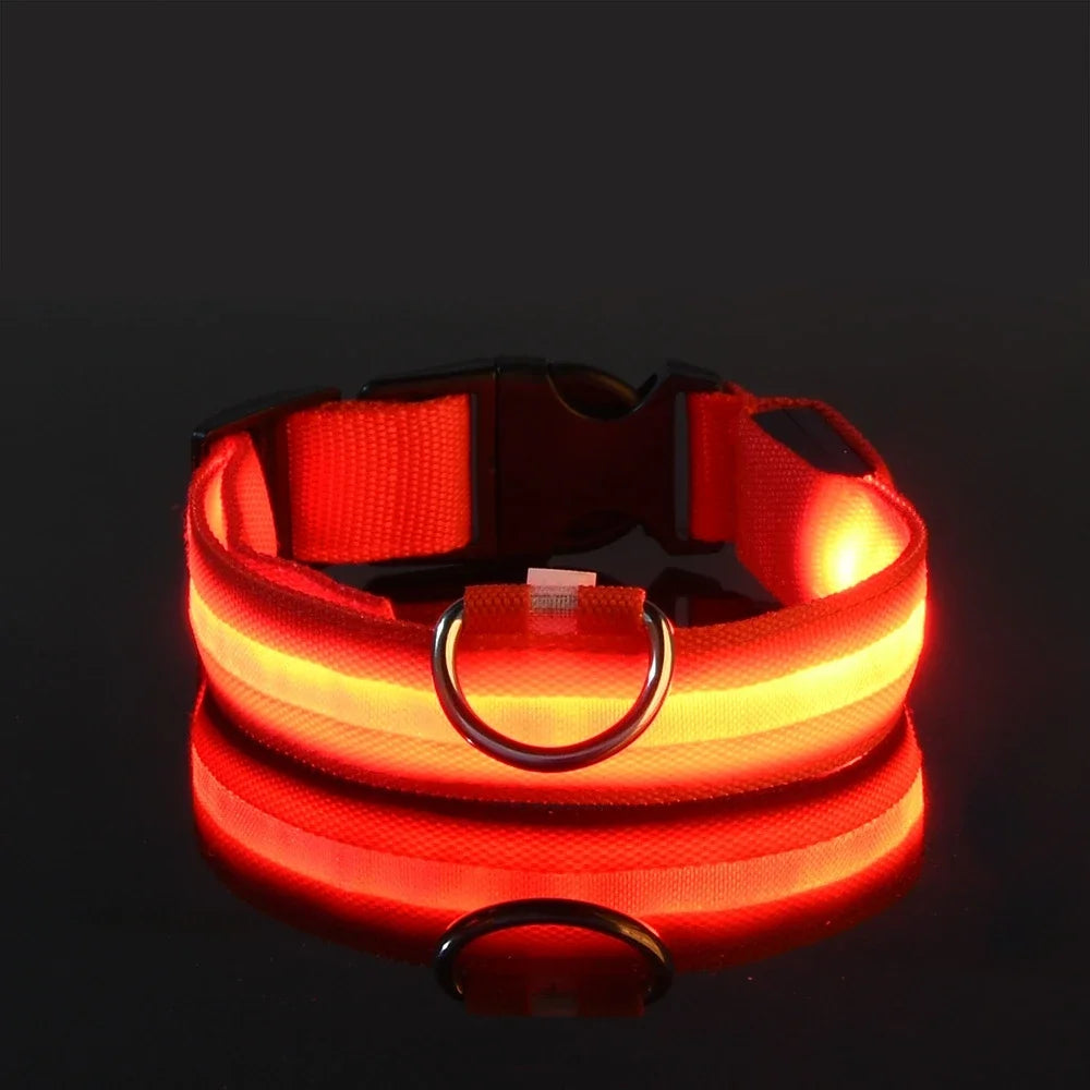 Dog Collar Nylon LED Night Safety Flashing Glow In The Dark Pet Dog Leash pet Dogs Luminous Fluorescent Dog collar