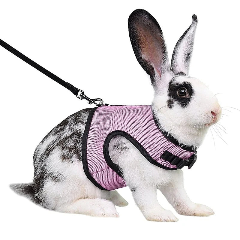 Mutil-Colors Breathable Stylish Vest Rabbit Adjustable Soft Harness And Elastic Leash Set For Rabbits