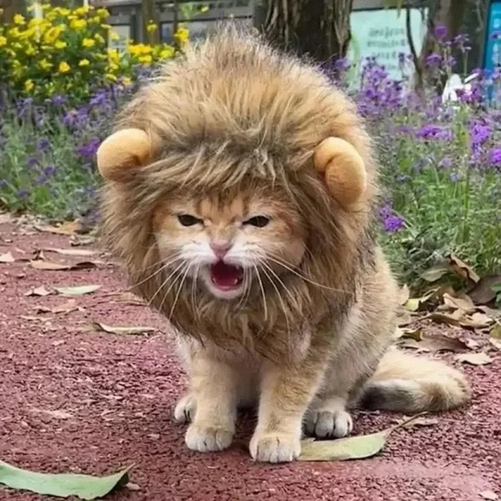 Lions mane wig for Cat Costume Cosplay