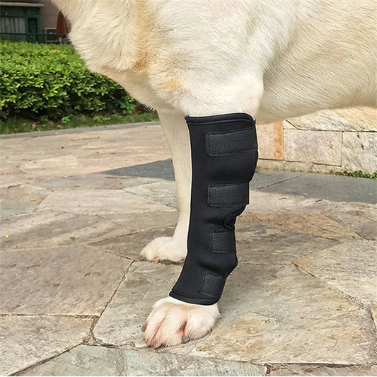 Pet Dog Bandages Dog Injury Leg Knee Brace Strap Protection For Dogs Joint Bandage