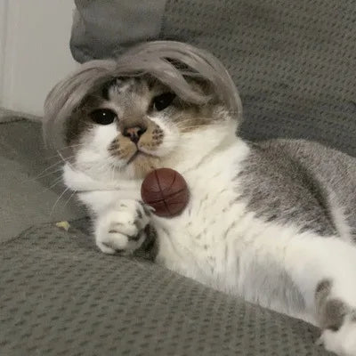 Pet Wigs Cosplay