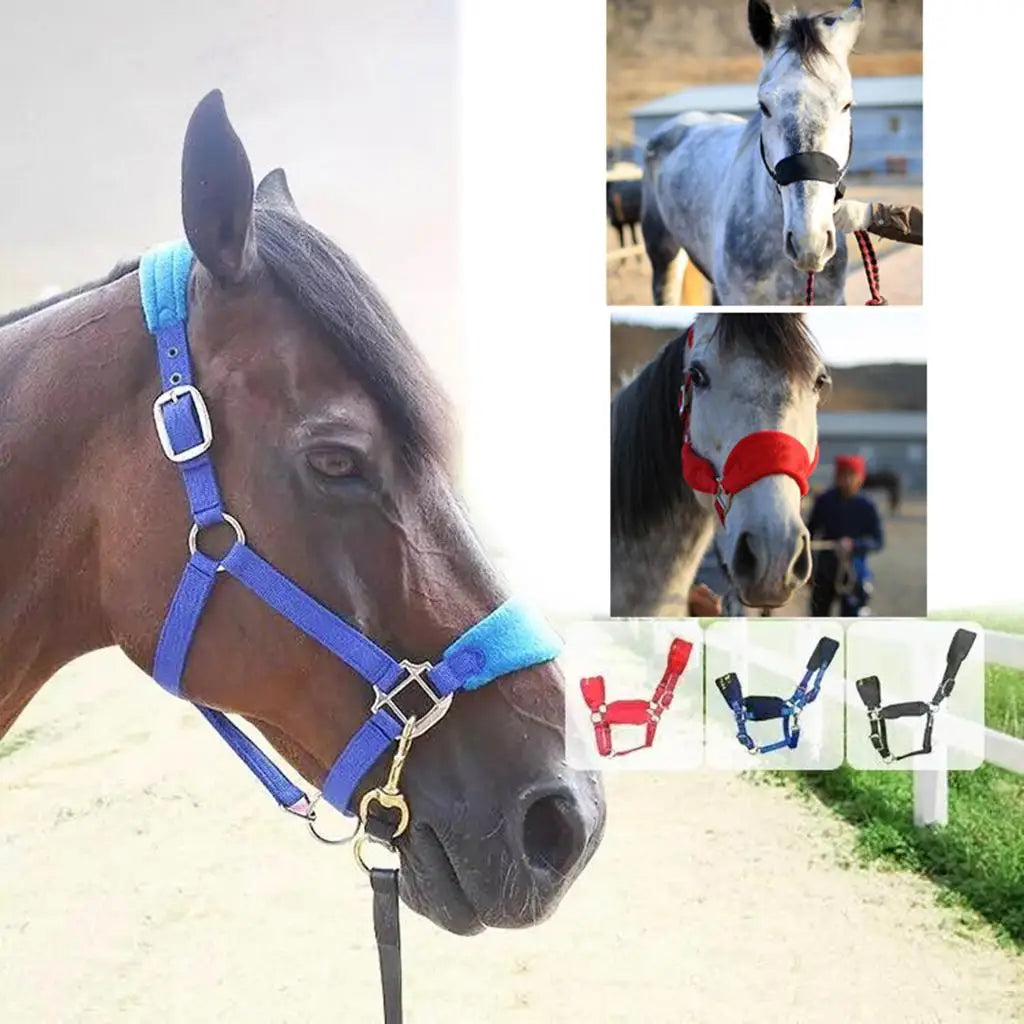 Horse Halter Bridle Rein Detachable Head Collar Strap Stable Protective