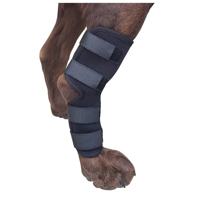 Pet Dog Bandages Dog Injury Leg Knee Brace Strap Protection For Dogs Joint Bandage