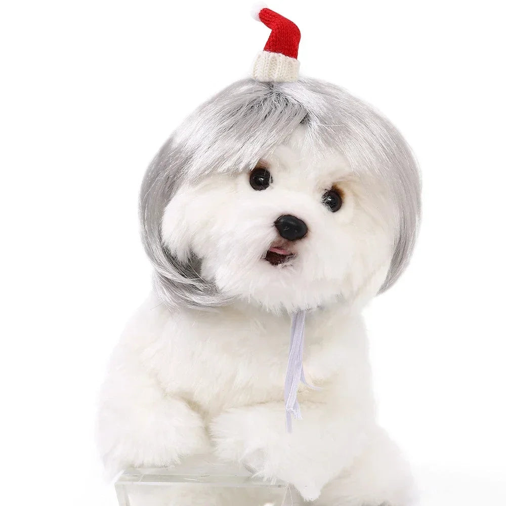 Pet Wig for Cats and Dogs