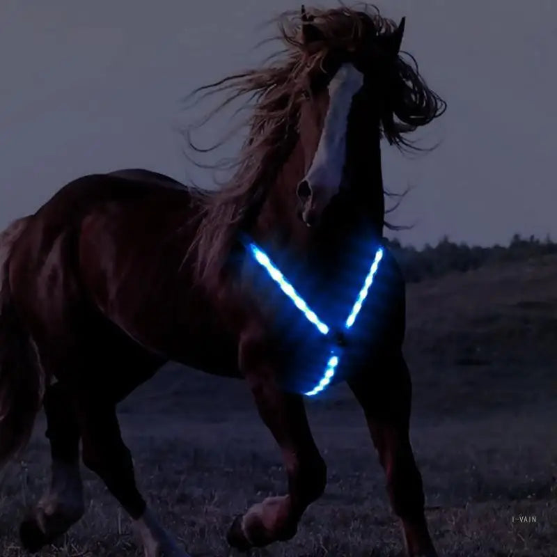 LED Harness Collar Breastplate Safe Riding Equipment Adjustable Night Visible LED Light Chest Belt