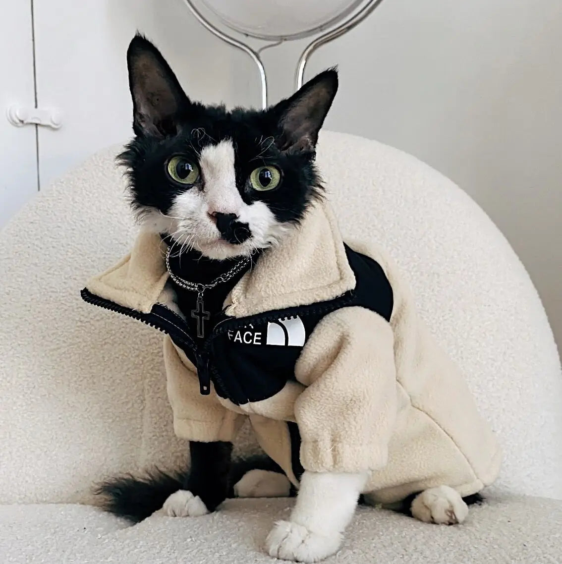 The Catface Winter Clothes for Pet Cat