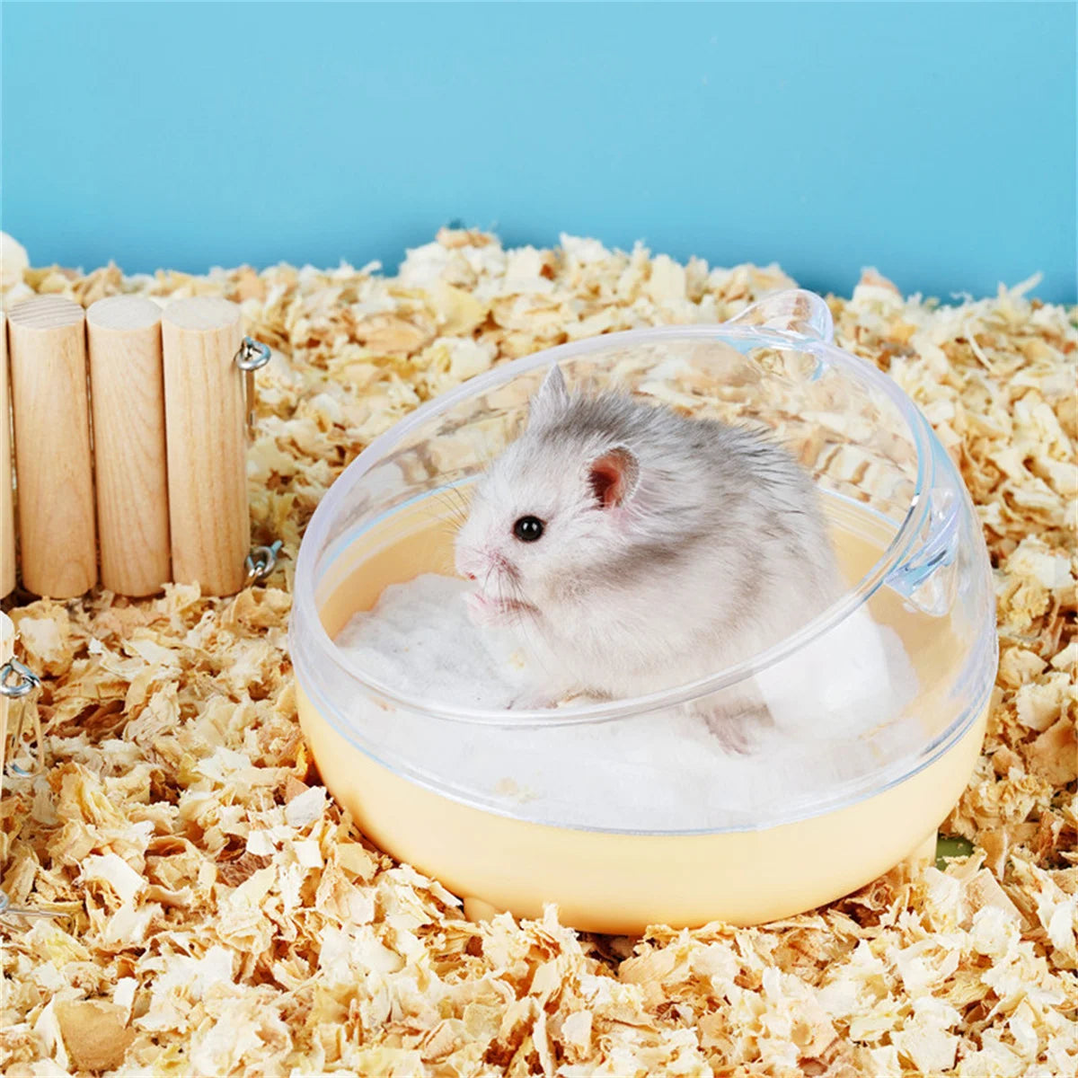 Hamster Sandbox Full Transparent Sand Bath Container Small Pet