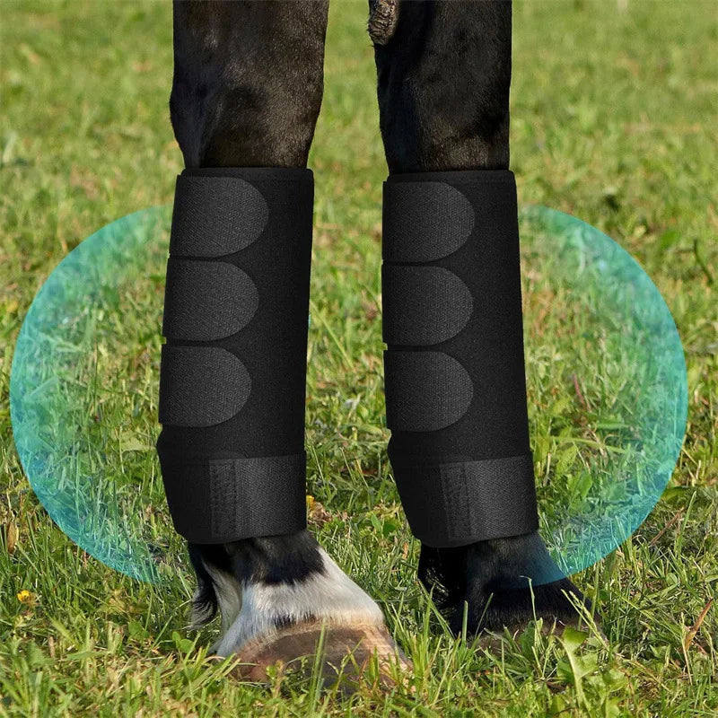 2PCS Horse legging boots anti-collision equestrian horse racing equipment diving material soft and shock absorption