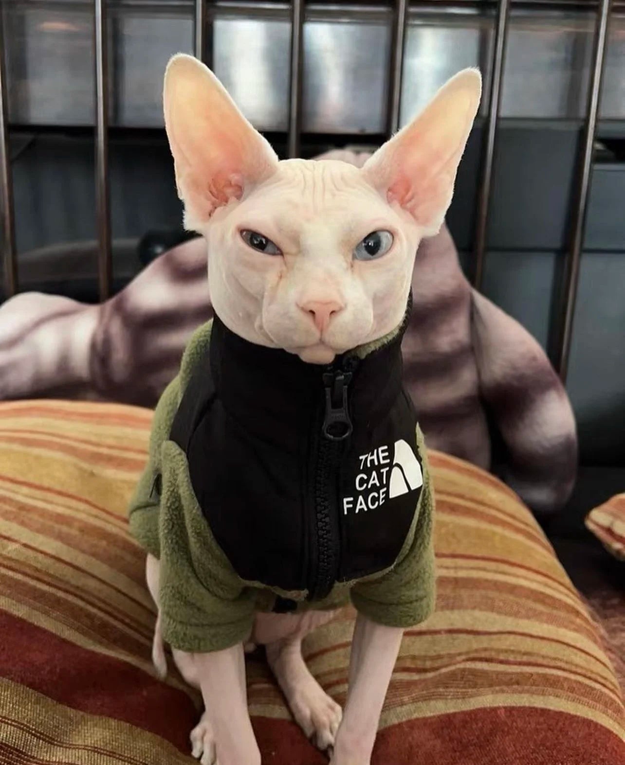 The Catface Winter Clothes for Pet Cat