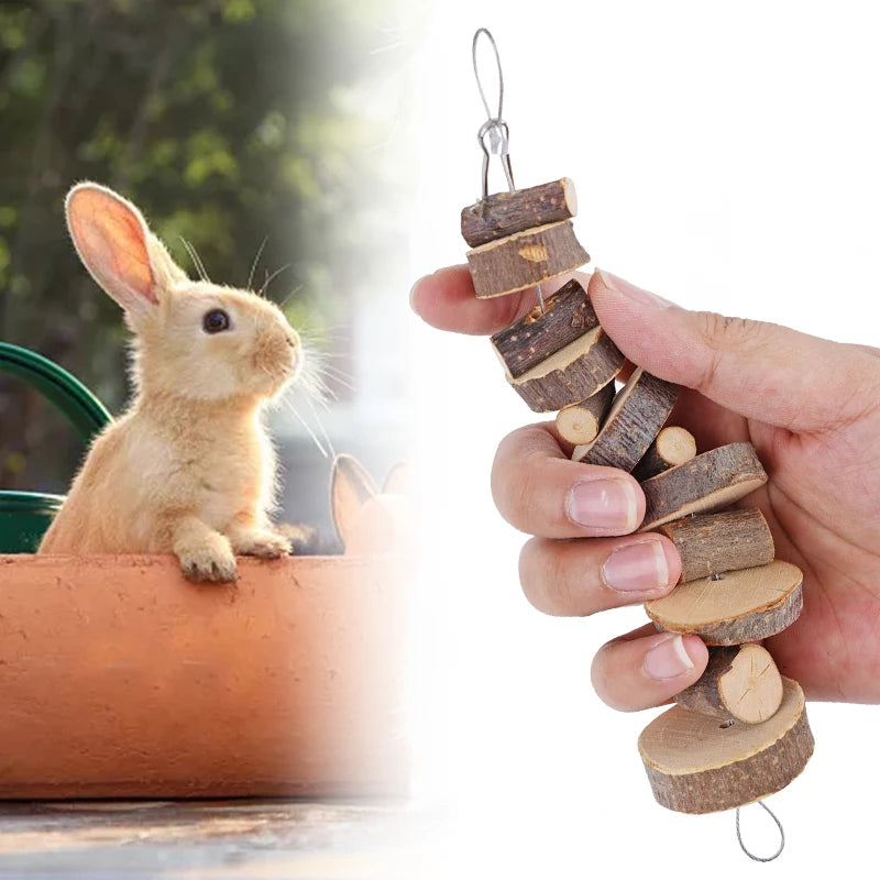 Hamster Chew Toy Natural Wood Sticks for Small Pet Tooth Grinding Toy