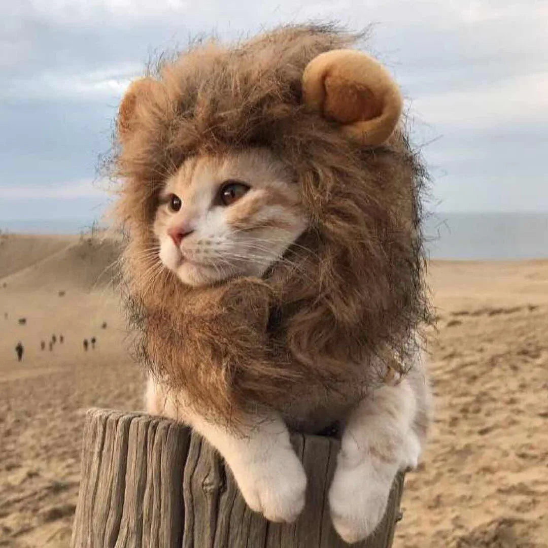 Cute Lion Mane Cat Wig Hat Lion Wig Costume Fancy Hair Cap Pet Supplies