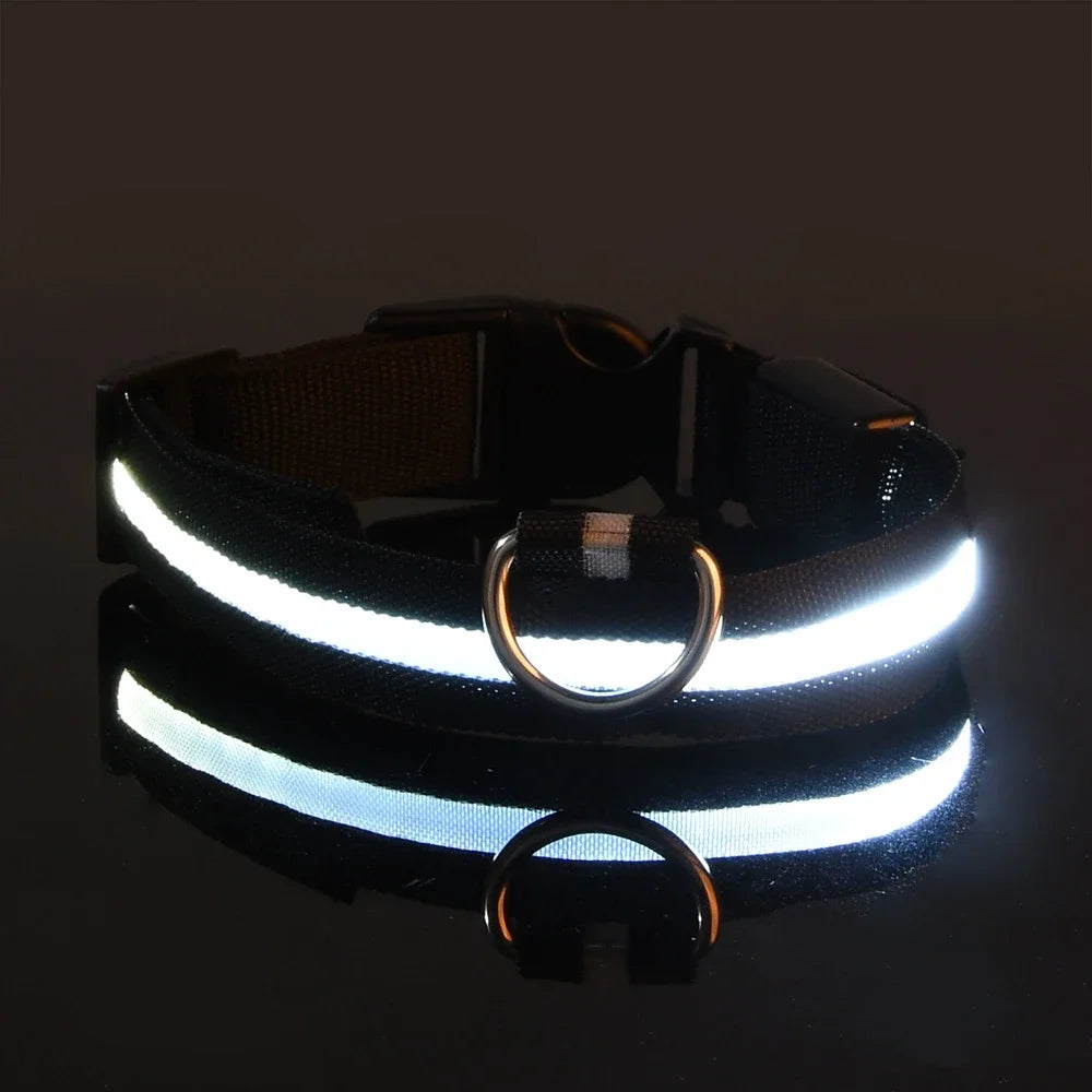 Dog Collar Nylon LED Night Safety Flashing Glow In The Dark Pet Dog Leash pet Dogs Luminous Fluorescent Dog collar