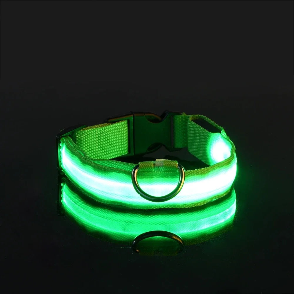 Dog Collar Nylon LED Night Safety Flashing Glow In The Dark Pet Dog Leash pet Dogs Luminous Fluorescent Dog collar