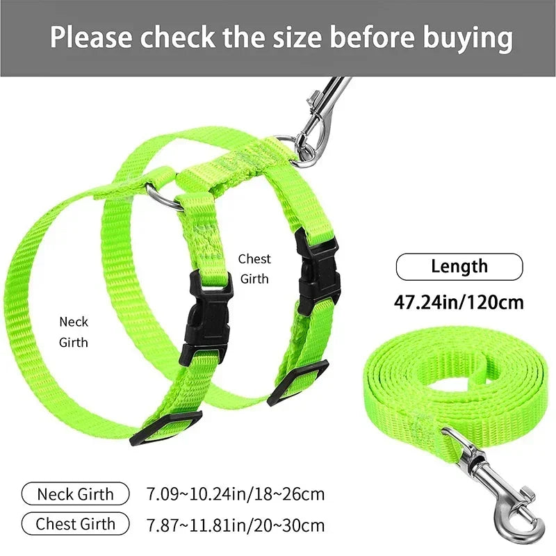 Rabbit Harness and Leash Set Adjustable Nylon Harnesses for Bunny  Outdoor Walking