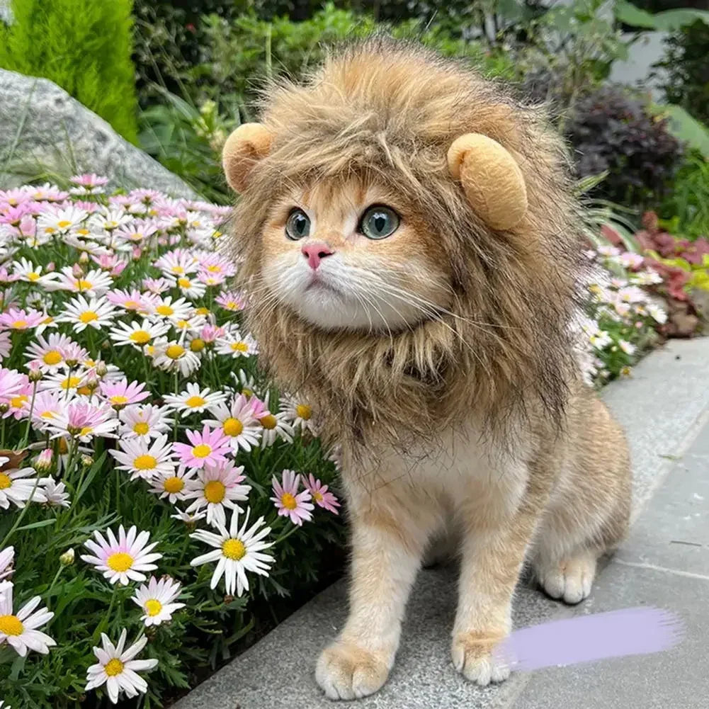 Lions mane wig for Cat Costume Cosplay