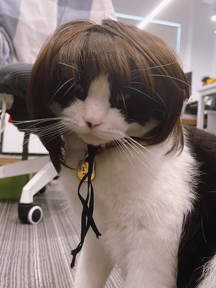 Pet Wig for Cats and Dogs