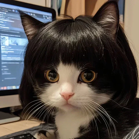 Pet Wig for Cats and Dogs