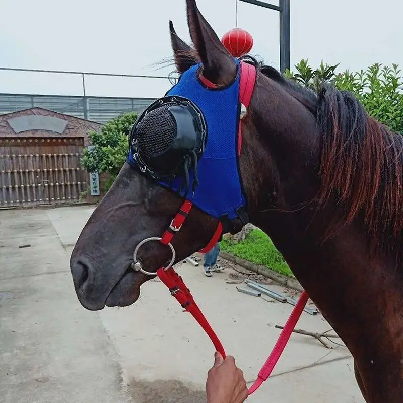 Equestrian equipment, windproof eye mask, racehorse professional vest, sand proof eye cover, horse head