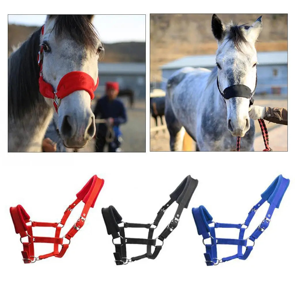 Horse Halter Bridle Rein Detachable Head Collar Strap Stable Protective