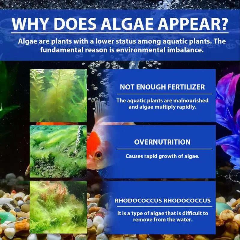 Algae Remover for Fish Tank 100g Aquarium Algae Control Pond Algaecide Aquarium Green Water Cleaner Gentle Fountain Algaecide