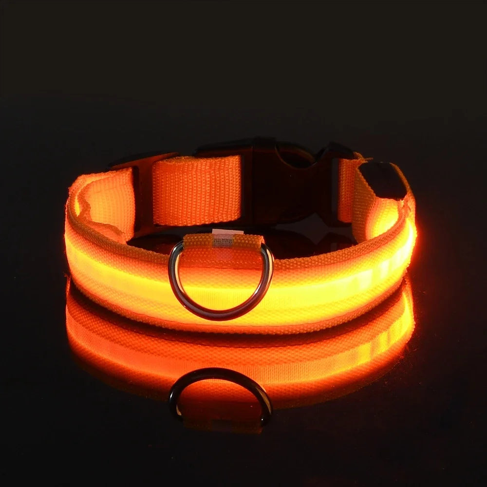 Dog Collar Nylon LED Night Safety Flashing Glow In The Dark Pet Dog Leash pet Dogs Luminous Fluorescent Dog collar