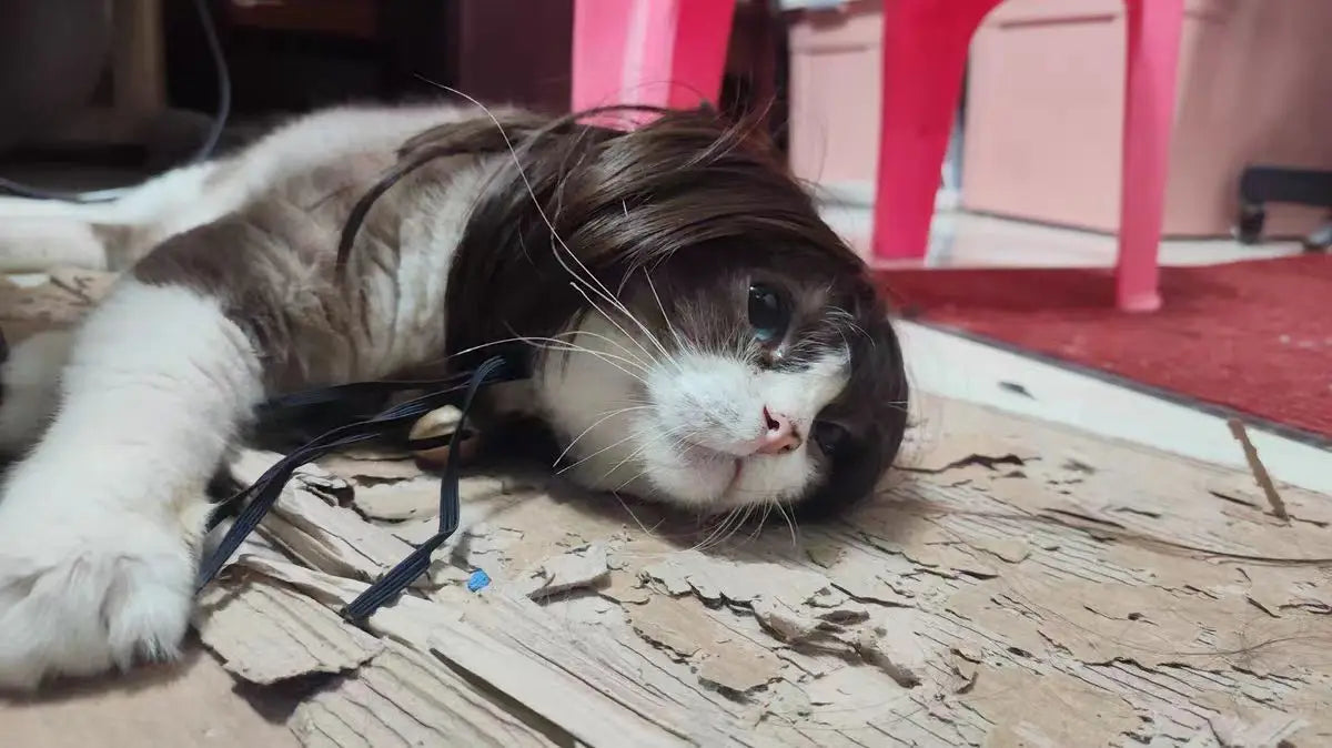 Pet Wig for Cats and Dogs