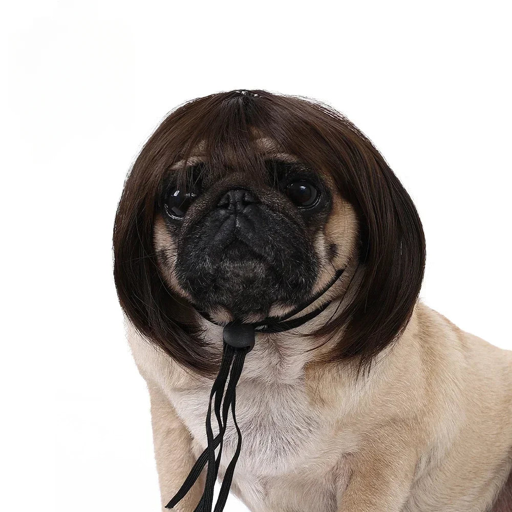 Pet Wig for Cats and Dogs