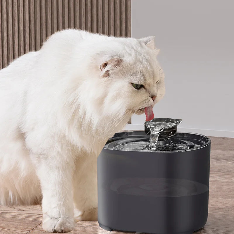 Cat Water Fountain Auto Filter USB Electric  Water Dispenser